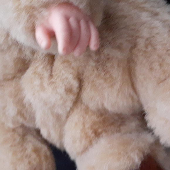 Anne Geddes Bear Baby 8" Toy - Picture 4 of 13